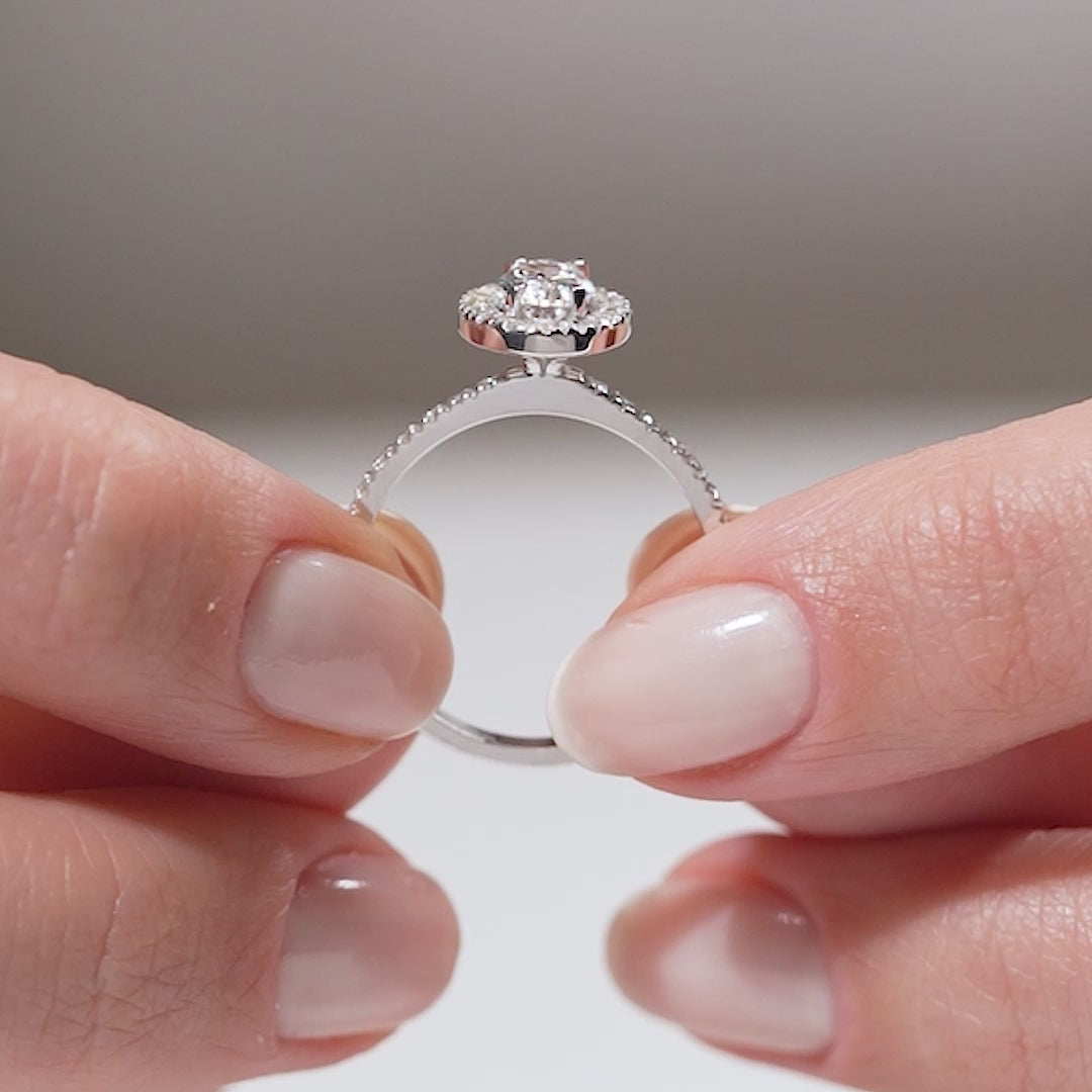 Gabriano Catalina 4 tırnaklı tektaş yüzük; GIA-HRD sertifikalı yuvarlak pırlanta ve beyaz altın montürün manken elinde videosu