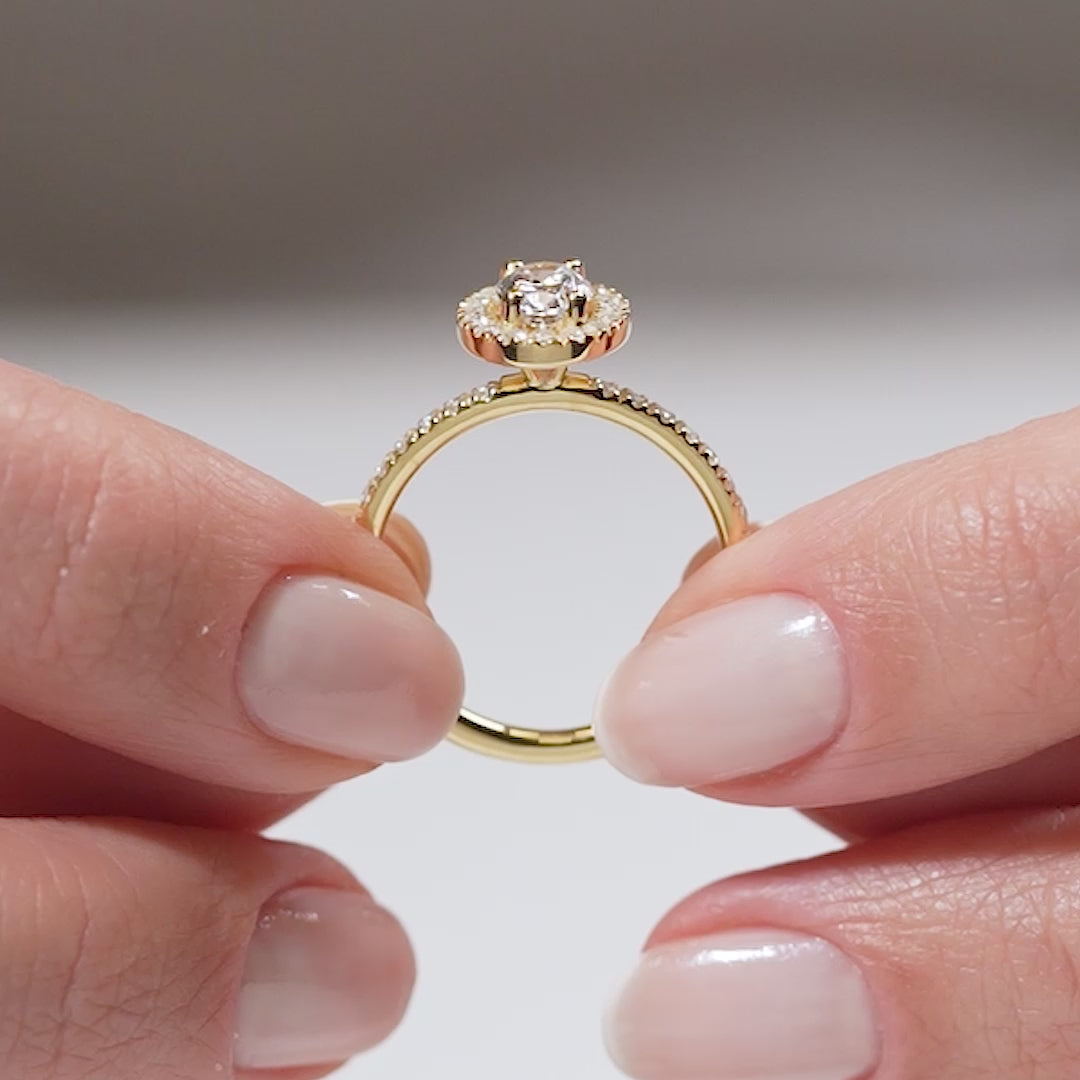 Gabriano Erika 4 tırnaklı tektaş yüzük; GIA-HRD sertifikalı yuvarlak pırlanta ve sarı altın montürün manken elinde videosu